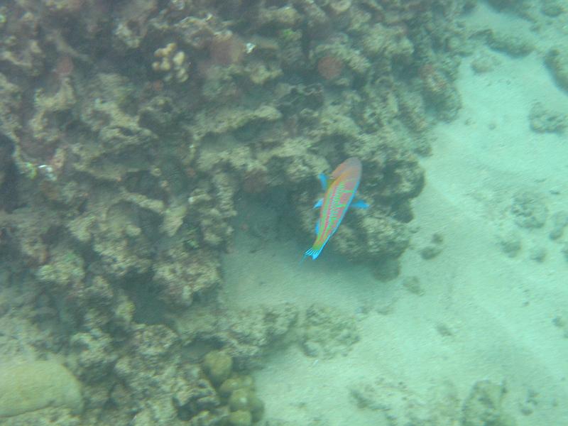 Picture 020